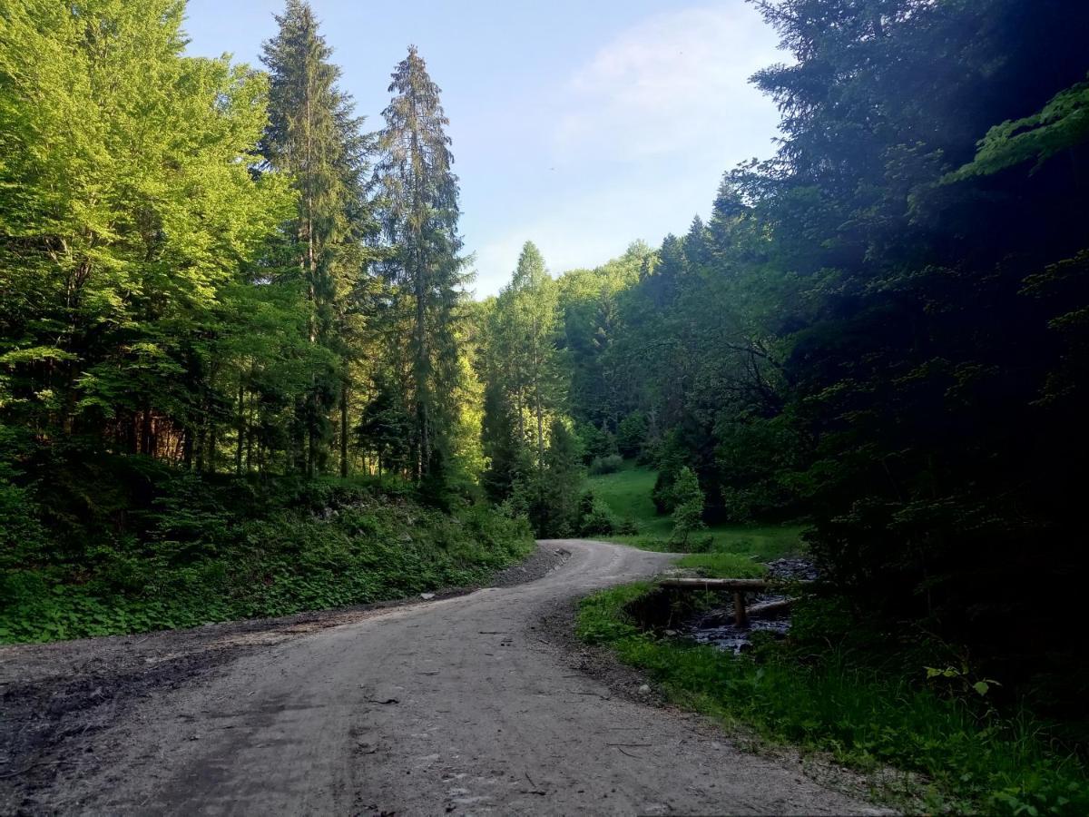 Villa Dom W Gorach Przy Szlaku Bystra  Esterno foto