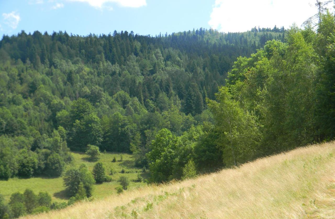 Villa Dom W Gorach Przy Szlaku Bystra  Esterno foto