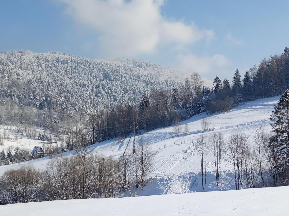 Villa Dom W Gorach Przy Szlaku Bystra  Esterno foto