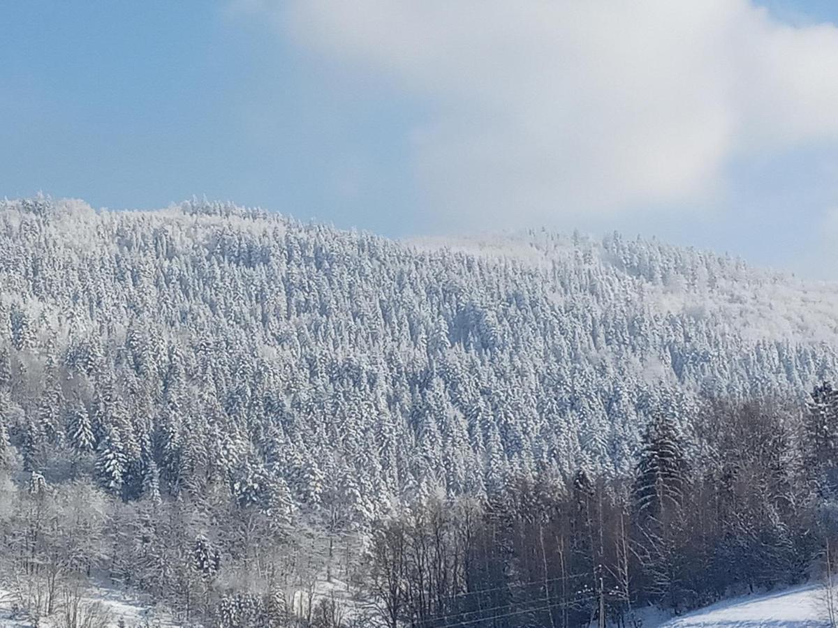 Villa Dom W Gorach Przy Szlaku Bystra  Esterno foto