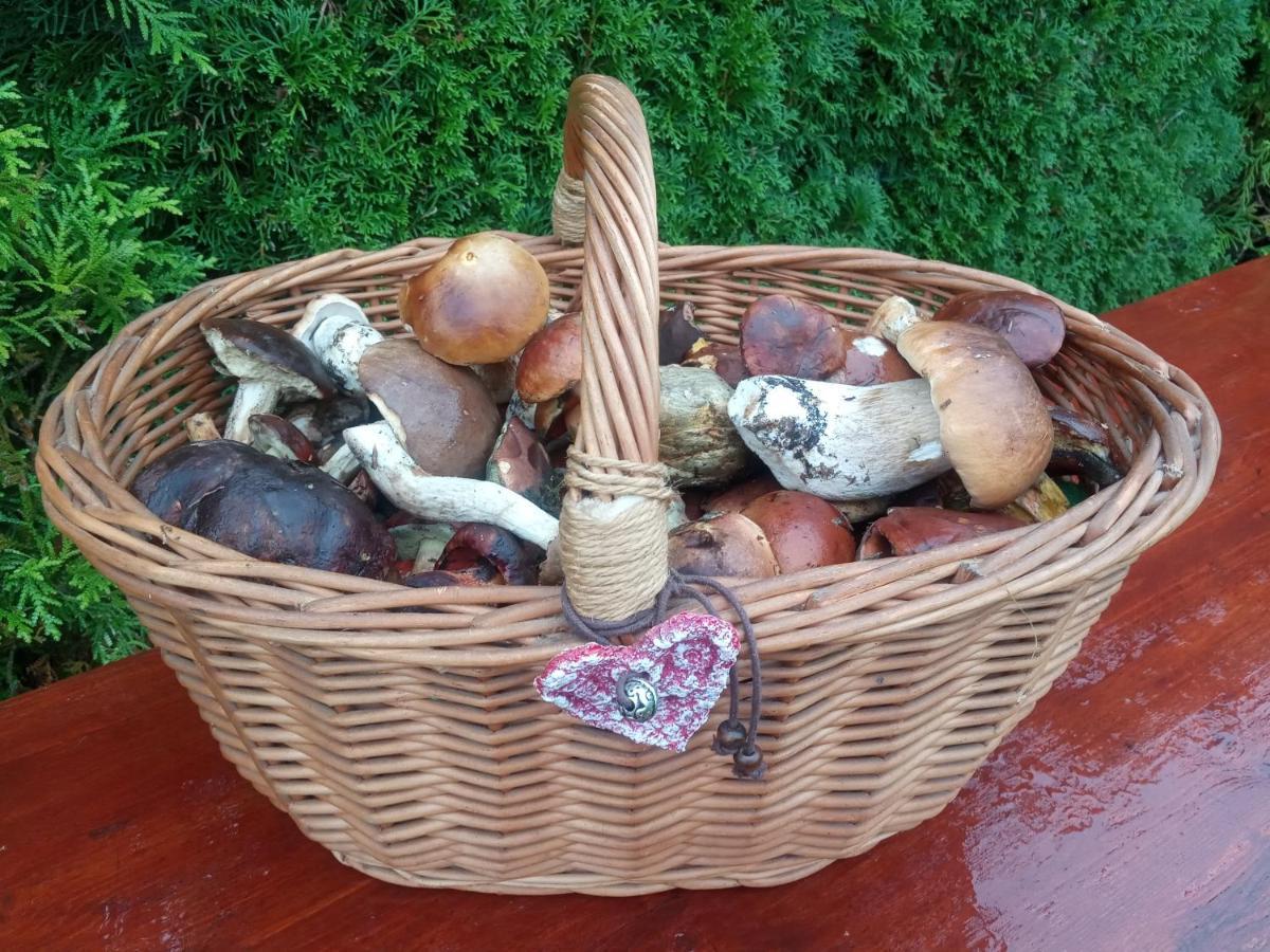 Villa Dom W Gorach Przy Szlaku Bystra  Esterno foto